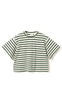 Noella T-shirt - N-Maple - Eton Ivory Green Stripe