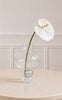 Sabloom Stilke - Anthurium - White
