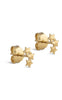 ENAMEL Copenhagen Øreringe - Organic Star - Gold Plated