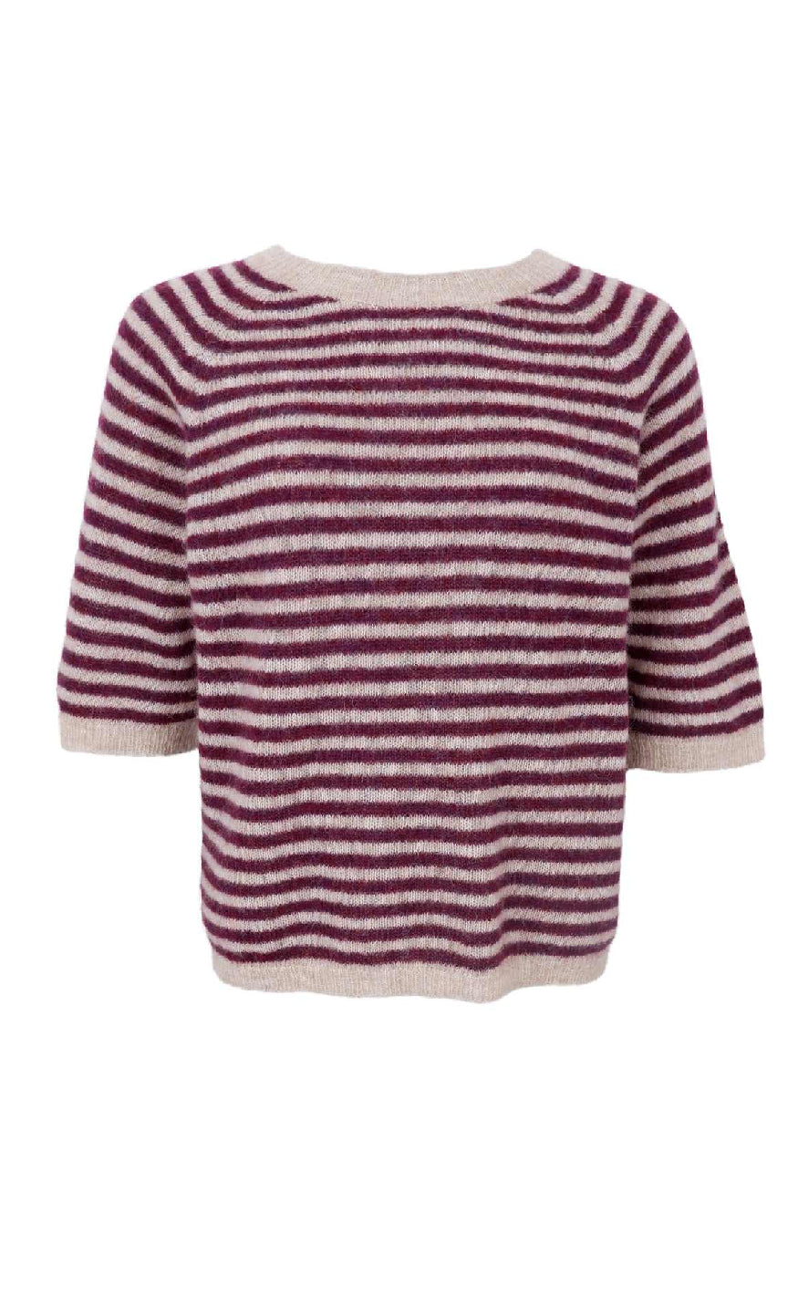 Black Colour Strik - Dell Striped - Plum