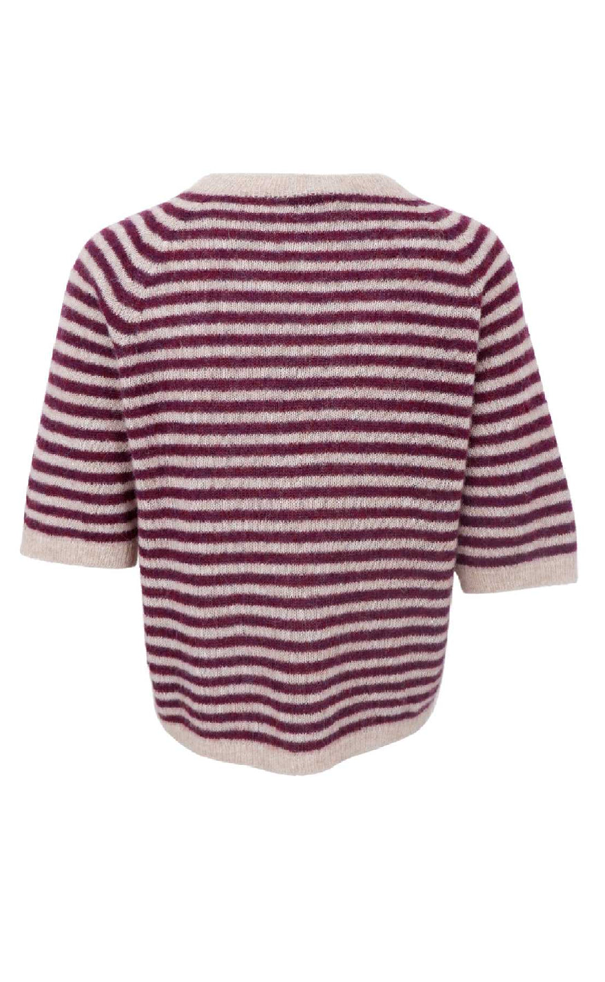 Black Colour Strik - Dell Striped - Plum