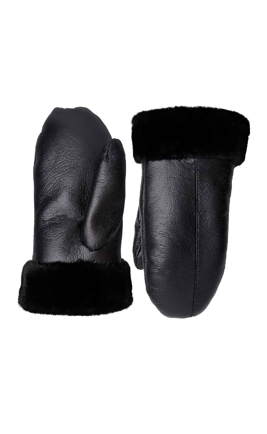 Black Colour Vanter - Tian - Black