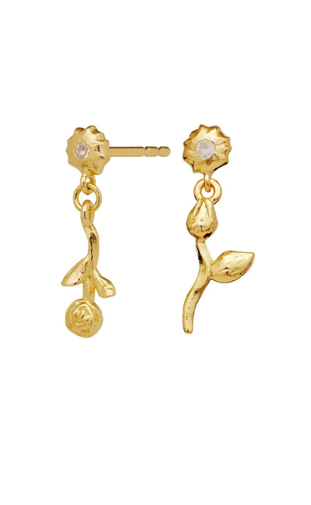 Maanesten Øreringe - Amaria - Gold Colour