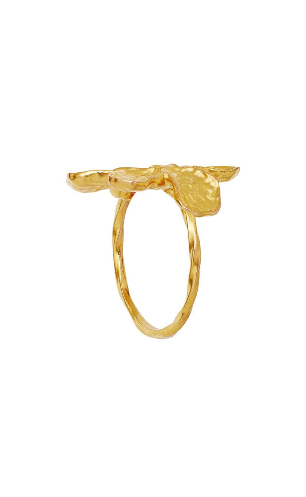 Maanesten Ring - Fraisa - Gold Colour