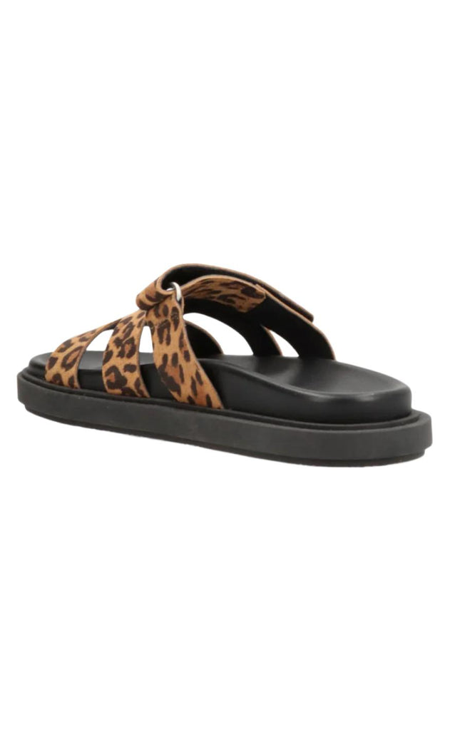 Phenumb Sandal - Echo S - Suede Leopard