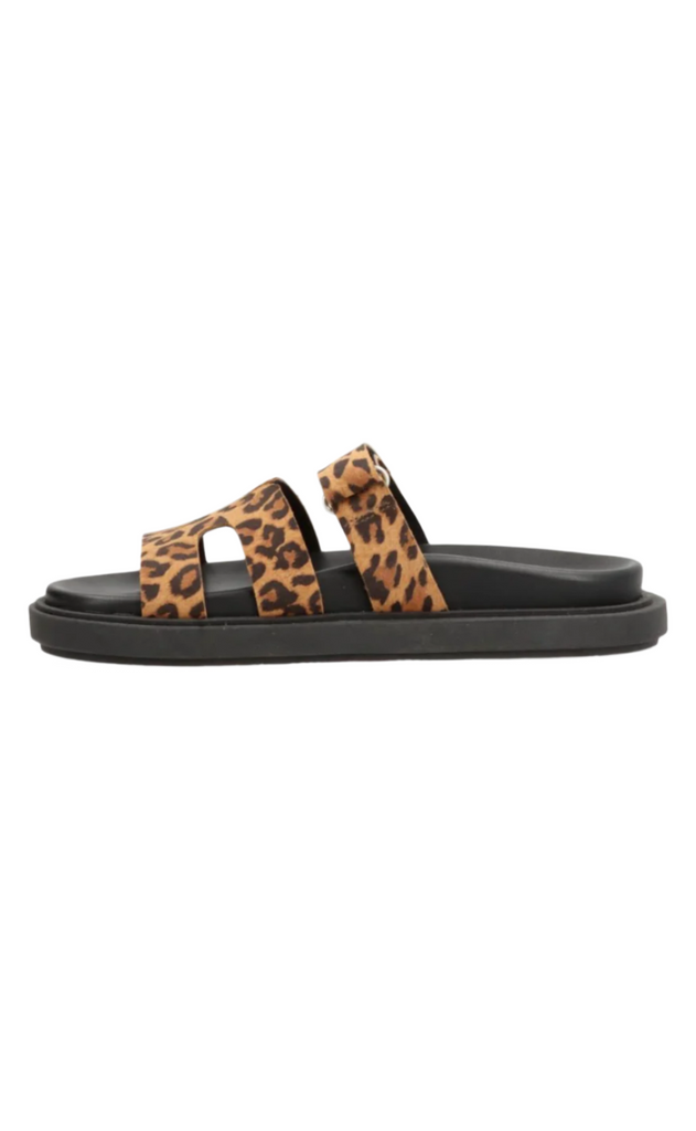 Phenumb Sko - Echo S - Suede Leopard