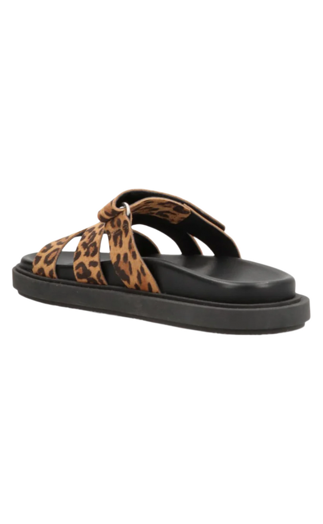 Phenumb Sko - Echo S - Suede Leopard