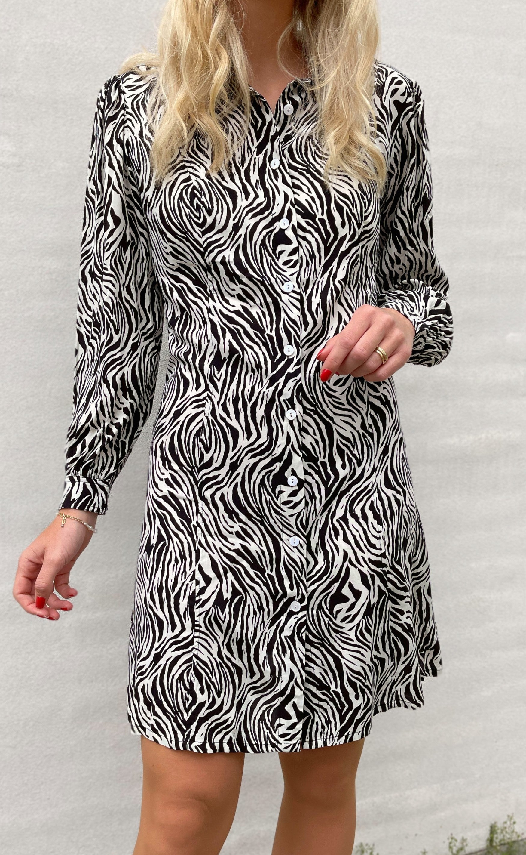 Say INA Copenhagen Kjole - Emma - White / Black Zebra