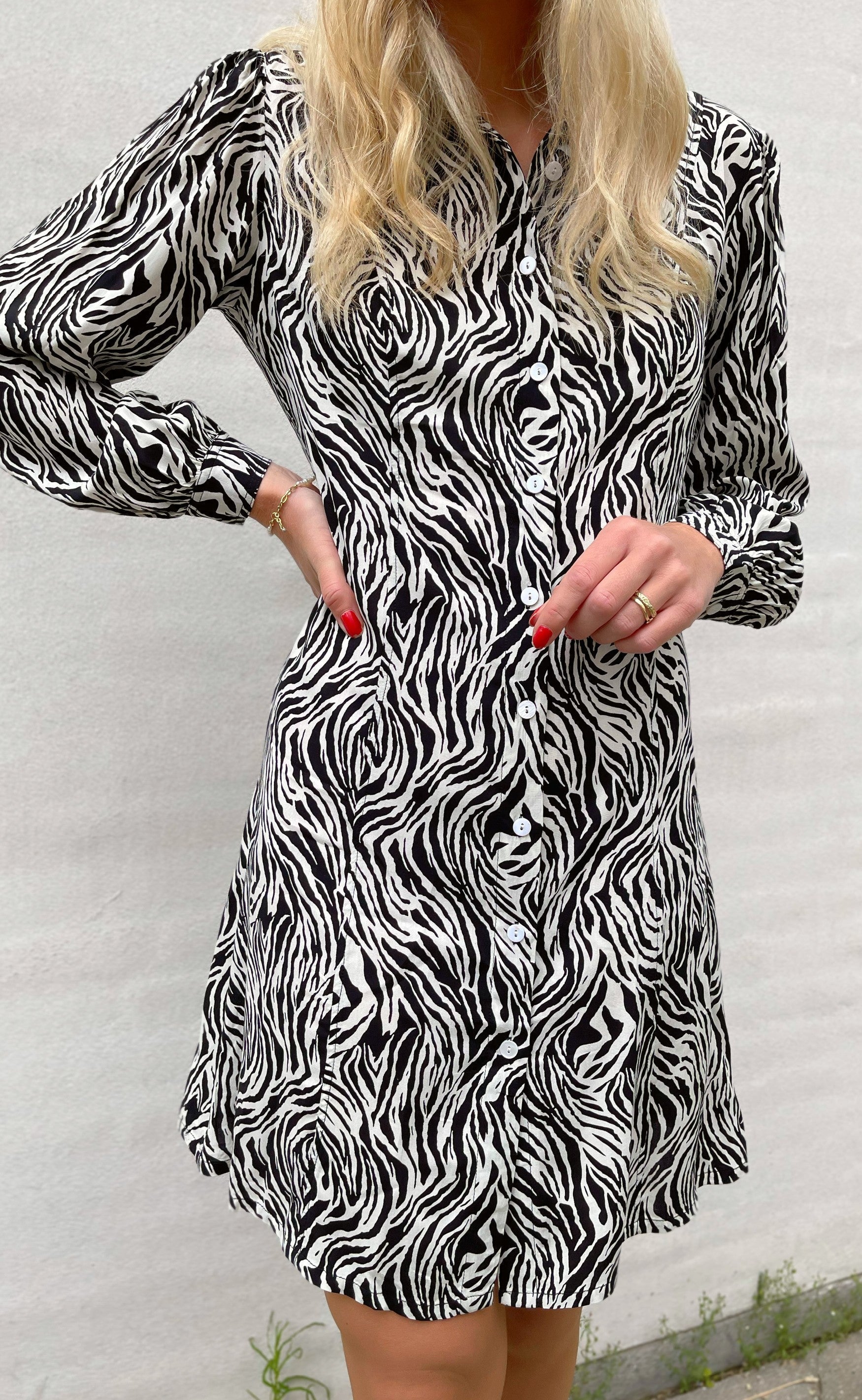 Say INA Copenhagen Kjole - Emma - White / Black Zebra
