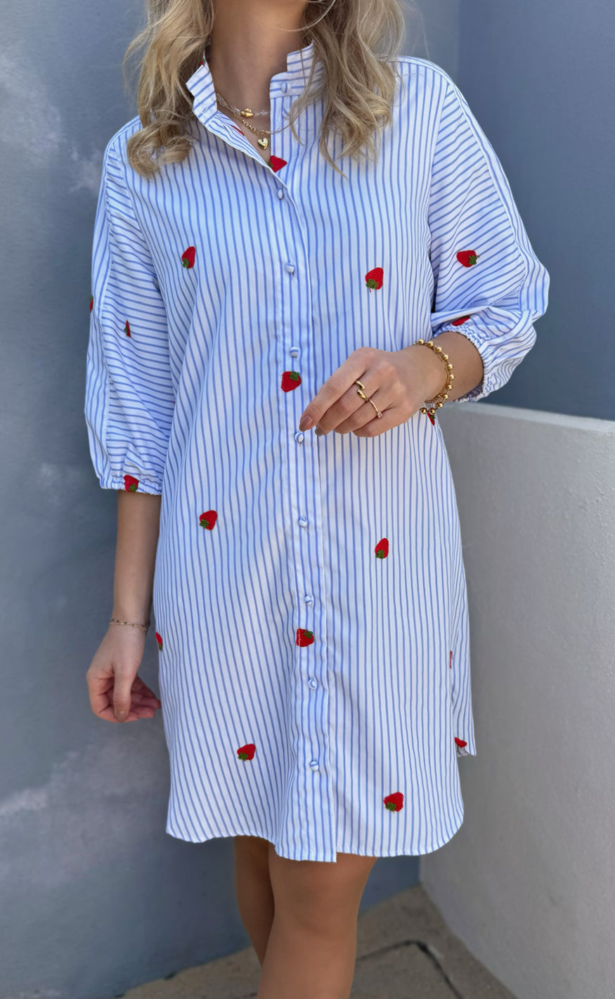 Say INA Copenhagen Kjole - Selma - Blue Striped W. Strawberries