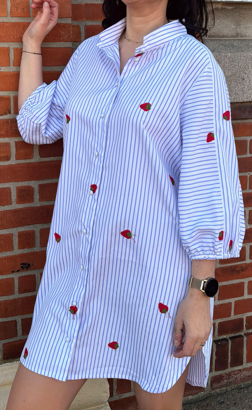 Say INA Copenhagen Kjole - Selma - Blue Striped W. Strawberries